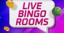 Live Bingo Rooms